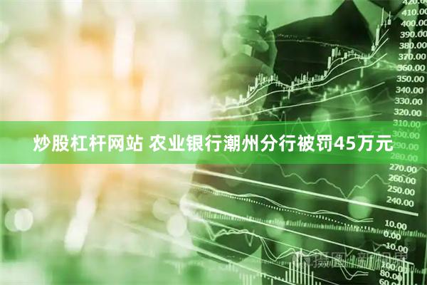 炒股杠杆网站 农业银行潮州分行被罚45万元